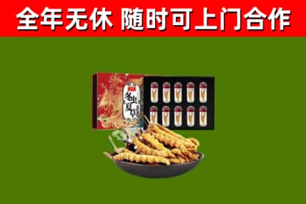 曹县回收冬虫夏草价格